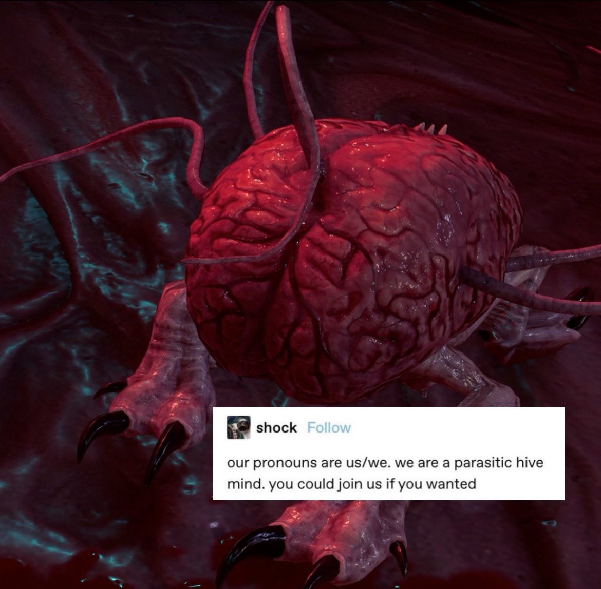 galesversion's tweet image. good morning oomfies