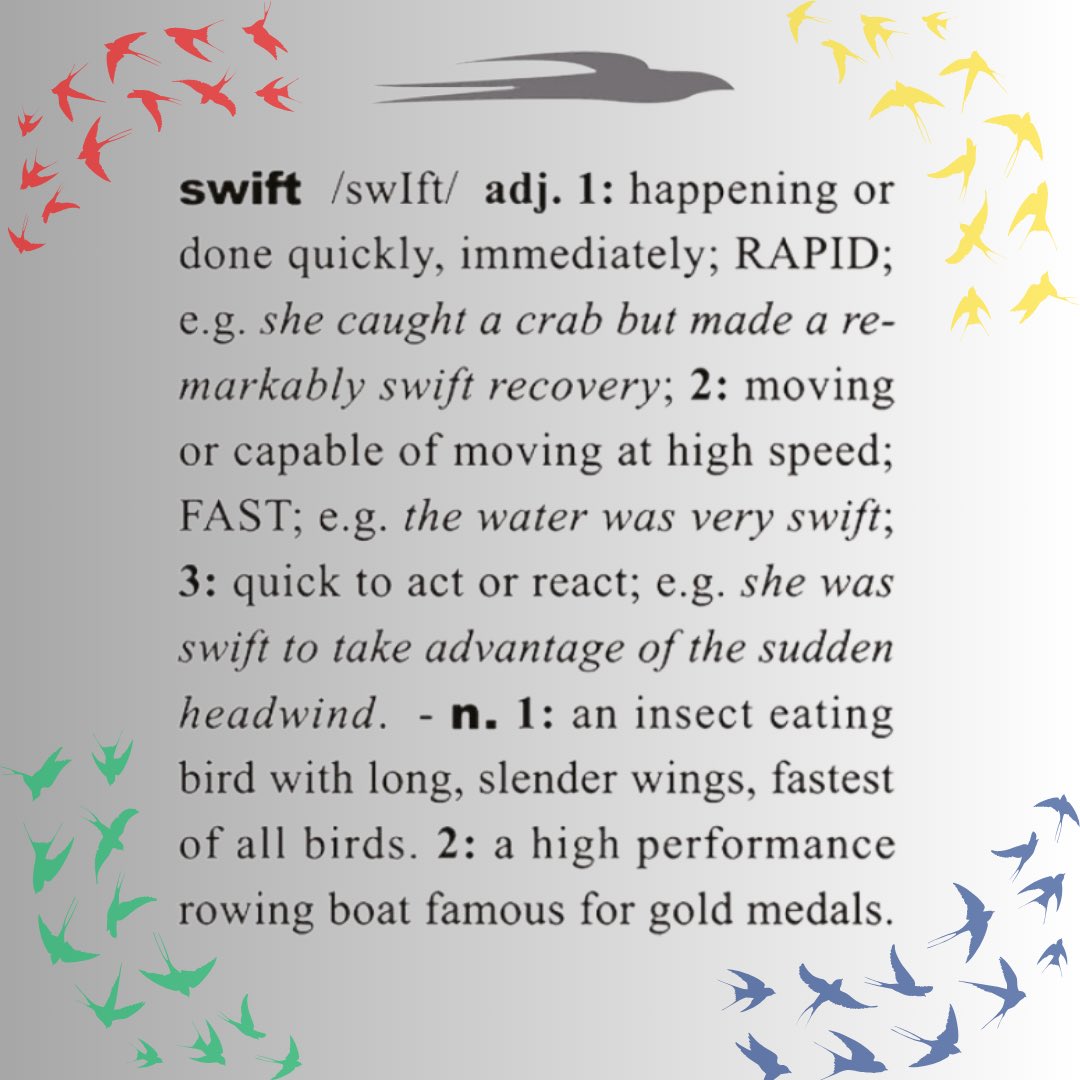 INTERNATIONAL SWIFT DAY. 
On World Swift Day we will start by explaining why we chose to name our boats “Swift”. 
This is the 1st in a series of posts talking about Swift, the bird.  We hope you will find the facts and stories about these enigmatic birds as fascinating as we do.