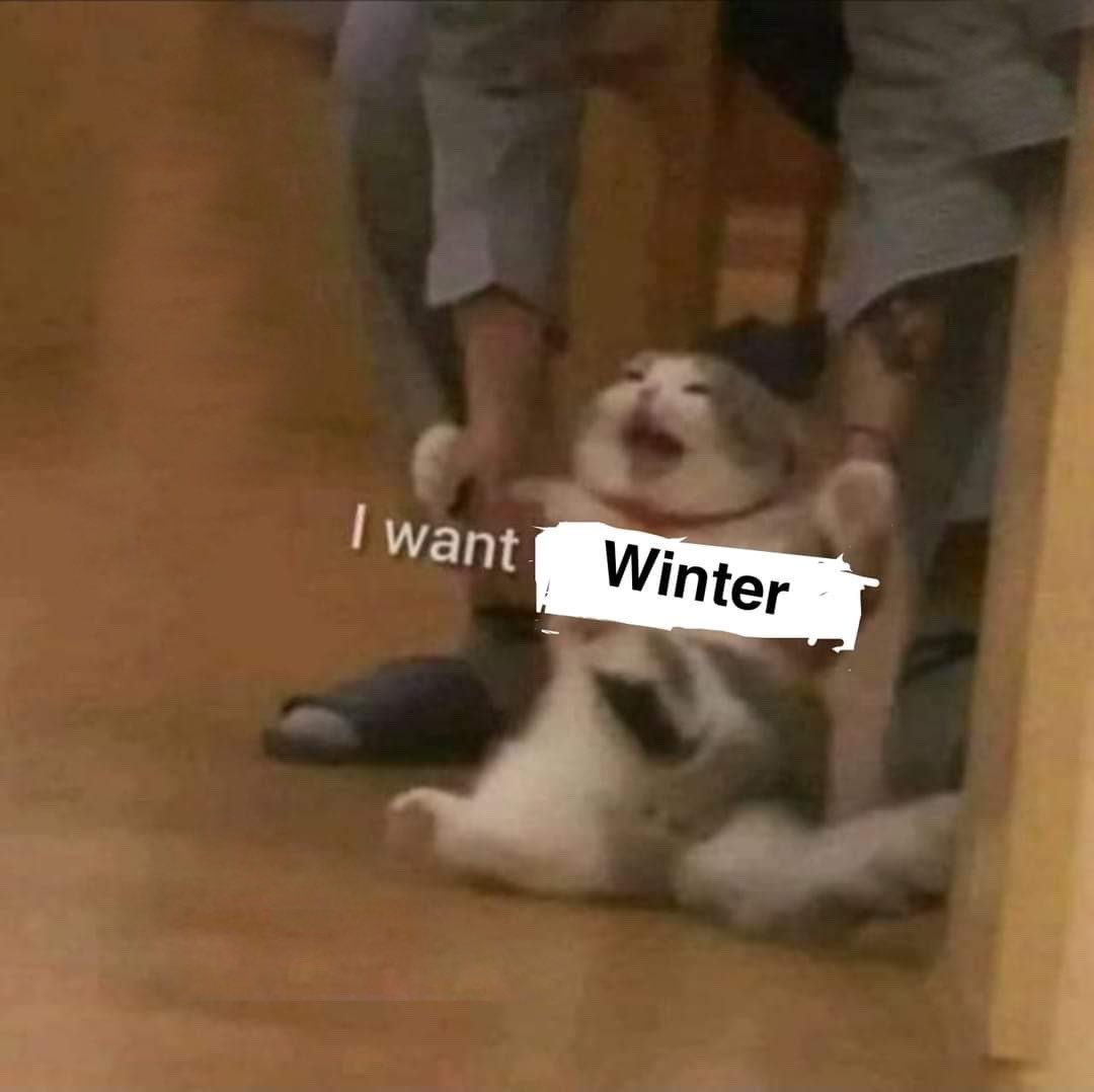 MemesOficiial's tweet photo. https://t.co/vxEFMDVg84