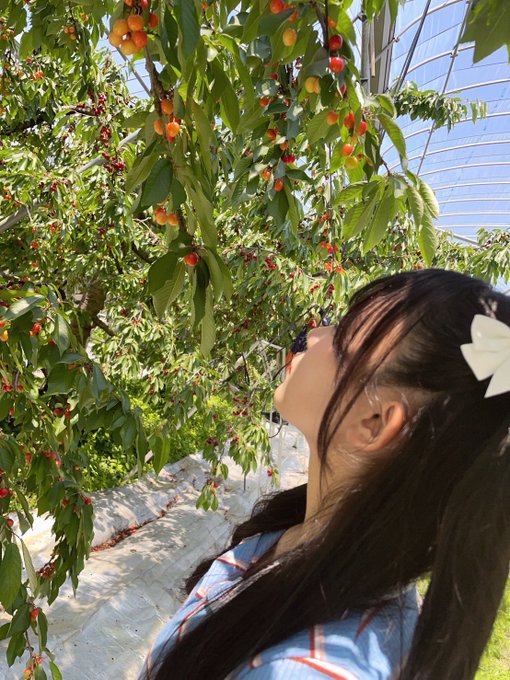 香穂のTwitter画像3