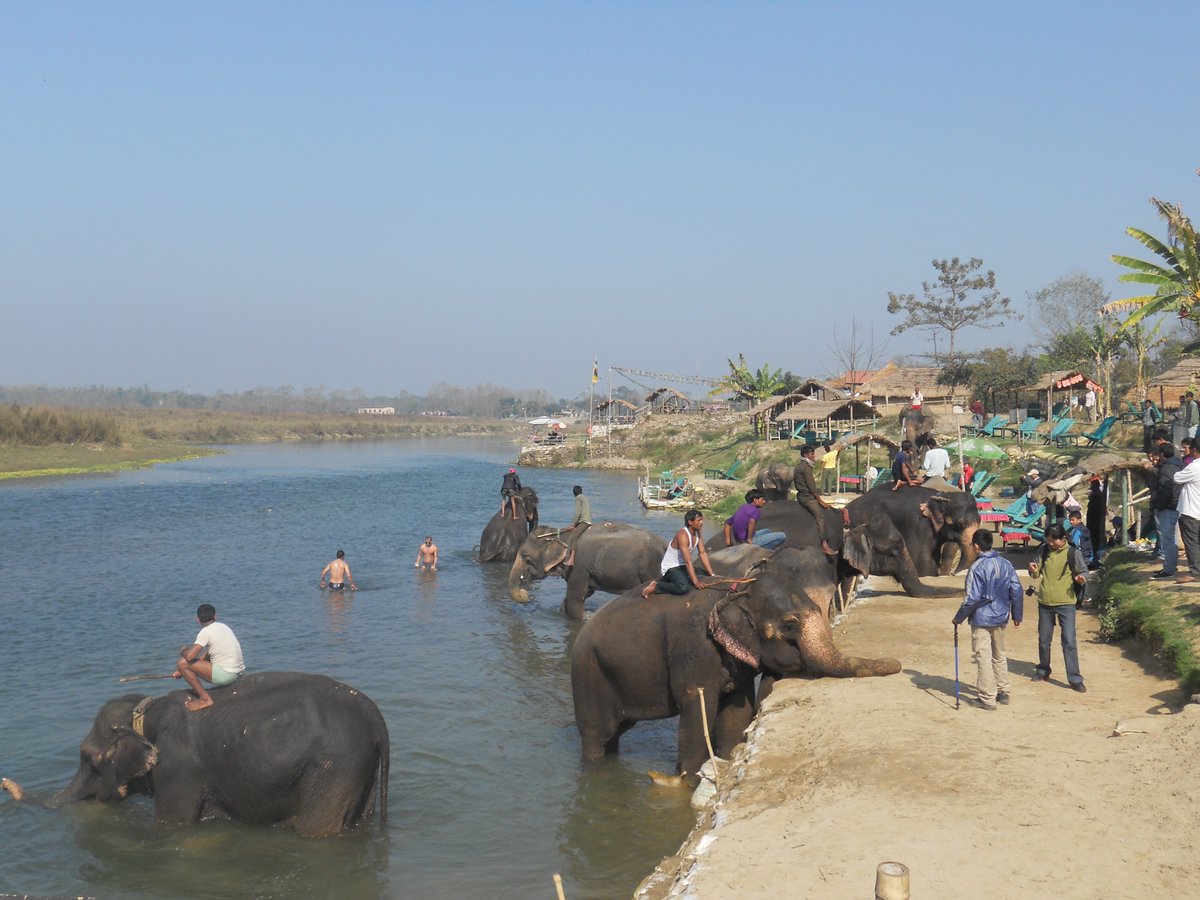 TeamHimalayapvt's tweet photo. Pokhara Chitwan Tour is an amazing luxurious cultural tour, besides several adventurous trips in Nepal. #tourinnepal #Kathmandupokharachitwantour #nepaltour #tour #nepalimagetour #kathmandutour #pokharatour #chitwantour  #teamhimalaya #teamhimalayauk
https://t.co/UKWwEeBcLz https://t.co/jnquUGqMsx