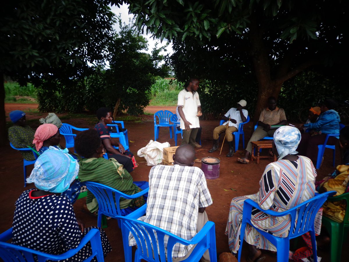 MICODUganda's tweet photo. As we celebrate international environment Day MICOD an environmental actor hereby inform the general public that it has done a lot in contributing towards environment restoration and protection with the aim of mitigating the impacts of climate change. We joins the the world https://t.co/28LrEBPaFQ
