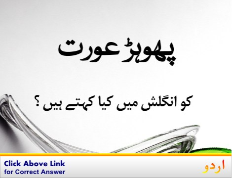 its_aaadi's tweet photo. oo bhai phly ye btao k isko urdu me kya kehty hain??? https://t.co/Y4wfHyoGcK
