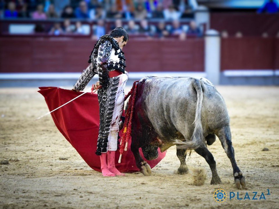 alfonsoclemnte's tweet photo. Hoy va a ser @EmiliodeJusto @LasVentas https://t.co/S9i0QrX5yP