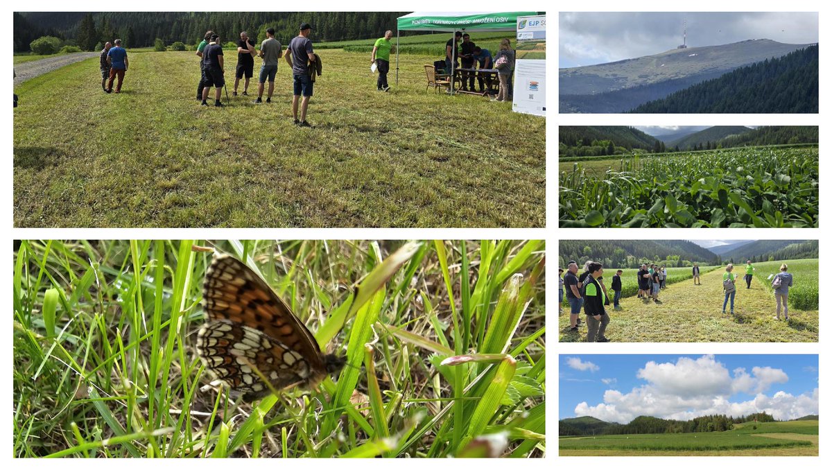 EJPSoil - Artemis (@ejpsoil_artemis) on Twitter photo #NPPC #Slovakia presented 30 May 2024 ley #yieldstabilility #soilnutrient content for local #farmers in #mountain regions <a href="/EJPSOIL_Artemis/">EJPSoil - Artemis</a> #NPPC #Slovakia presented 30 May 2024 ley #yieldstabilility #soilnutrient content for local #farmers in #mountain regions <a href="/EJPSOIL_Artemis/">EJPSoil - Artemis</a>