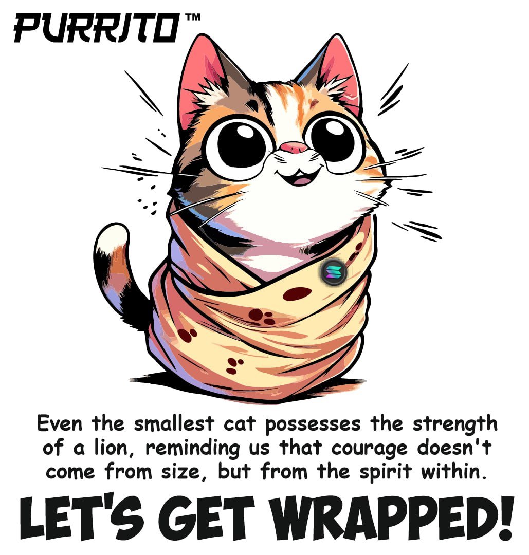 Purrito_Wrapped's tweet photo. #GetWrapped !!! https://t.co/HbYGER5kVH