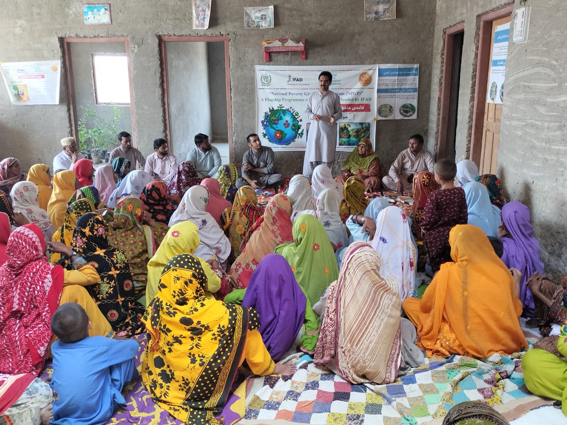 SRSO_Official's tweet photo. #WorldEnvironmentDay2024 was celebrated by Village Organizations in K.Kandhkot &amp; Shikarpur dists, Sindh under @npgppk - a flagship program of #MoPASS and #IFAD. The event featured awareness sessions, walks &amp; planting trees aimed at educating communities combating climate change. https://t.co/PCI3ugY06L