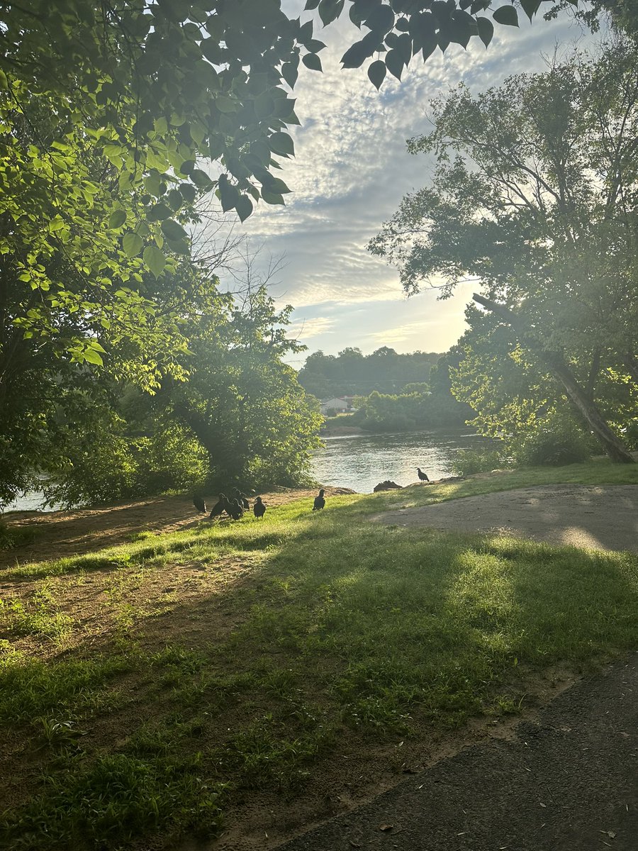 I feel like I stumbled upon something I shouldn’t have this morning