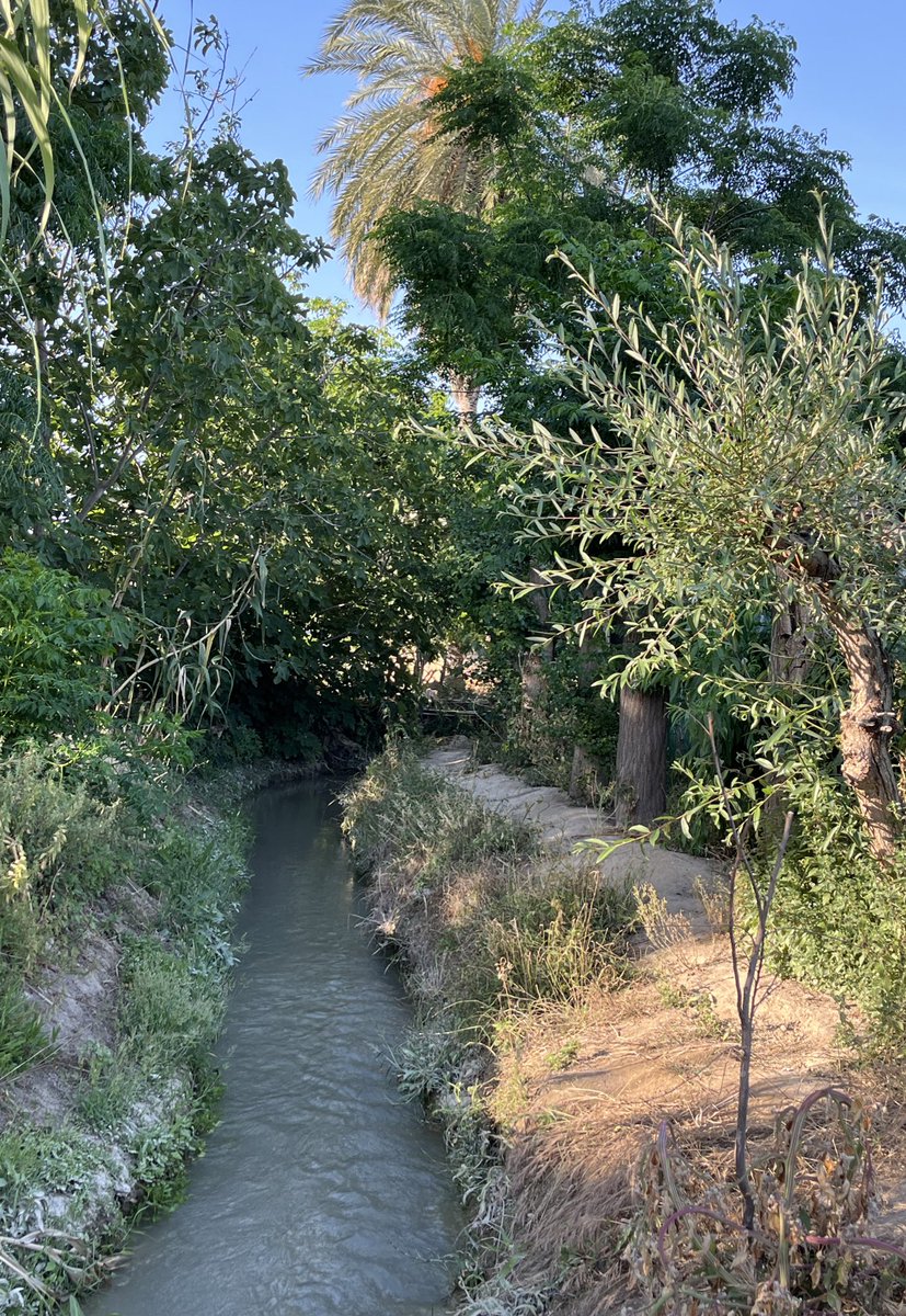 🍋 Acequia Don Pedro
🍅 Rincón de Seca

Esta acequia nace de la acequia Puxmarina, donde también muere. Ambas entubadas prácticamente en su totalidad.

Estáis viendo la excepción que confirma la regla.