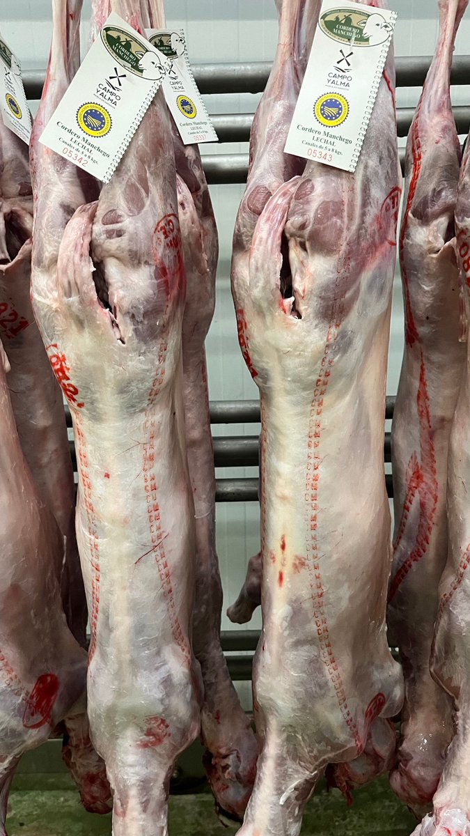CorderoManchego's tweet photo. La carne de #CorderoManchego #Lechal es conocida por tener muy poca grasa, siendo una opción saludable y natural. Es una carne de calidad que se destaca por su sabor característico y su textura tierna.
#IGP #Calidad #CLM #CampoyAlmaCLM
#YoComproCorderoManchego https://t.co/GA8iqG8XRt