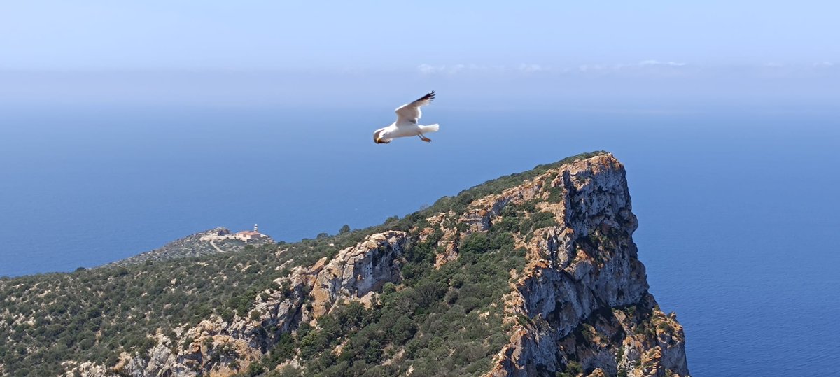 Buen finde para tod@s☕😜😘