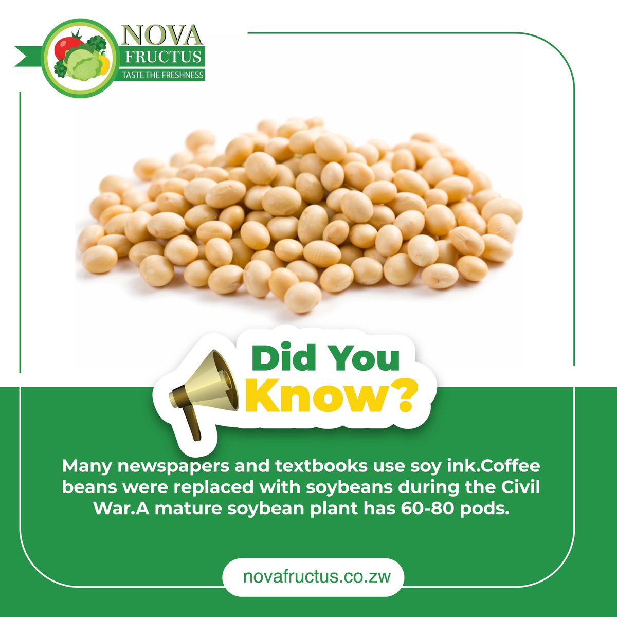 NovaFructus's tweet photo. Did you know?💡
#novafructusfarming #farminglife #soyabeans #soybeanfarming #soyabeansfacts #zimfarmers #farming #beans #agriculture https://t.co/TwcF27kfsi