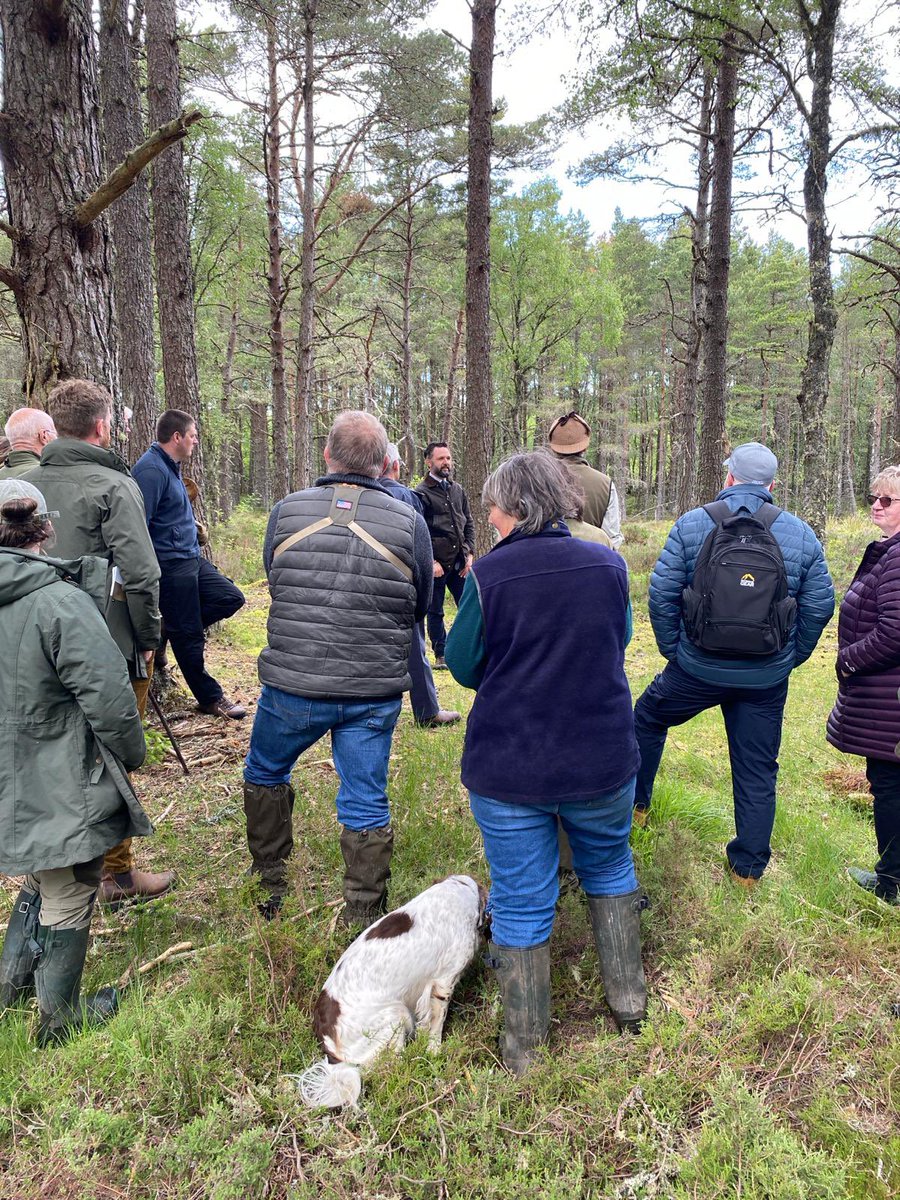 What a fantastic evening at our Woodcock Walk &amp; Talk at Balnagown Estate! 

A huge thank you to our sponsors NFU Mutual, for making this event possible. We delved into Balnagown’s sustainable management of the woodcock population. 

👉🏻 Future events:  gwct.org.uk/events/calenda…