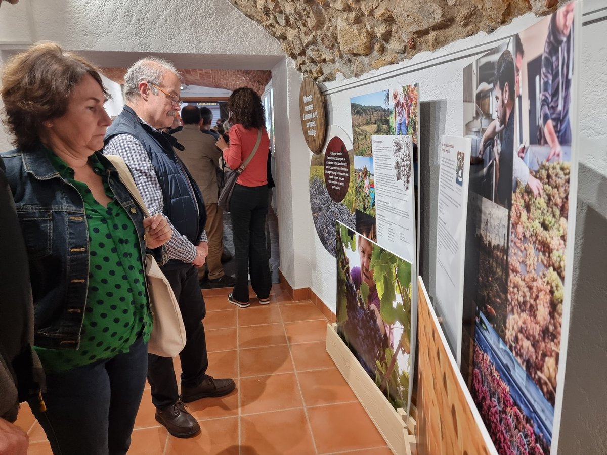 ajuntcalonge's tweet photo. Obre al públic el nou Centre d'Interpretació del Vi de Calonge. Ubicat al carrer Major, 5, es podrà visitar els caps de setmana de juny. A partir del juliol, estarà obert cada dia.
Tots els detalls i horaris a https://t.co/aXLfSNd9Sv
#CalongeiSantAntoni #VideCalonge https://t.co/bMHfEB1uzd
