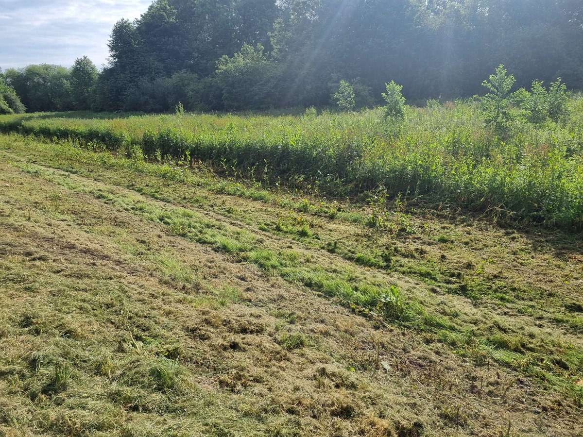 Lorna Griffiths tweet media