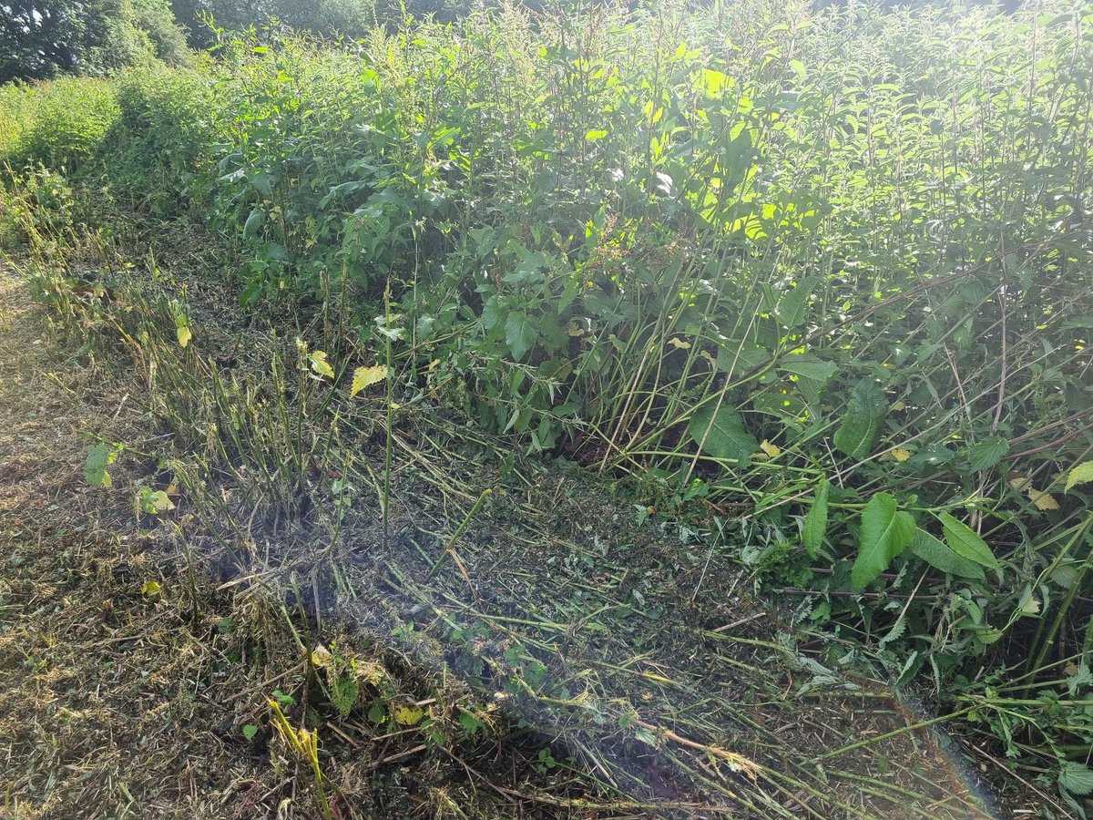 Lorna Griffiths tweet media