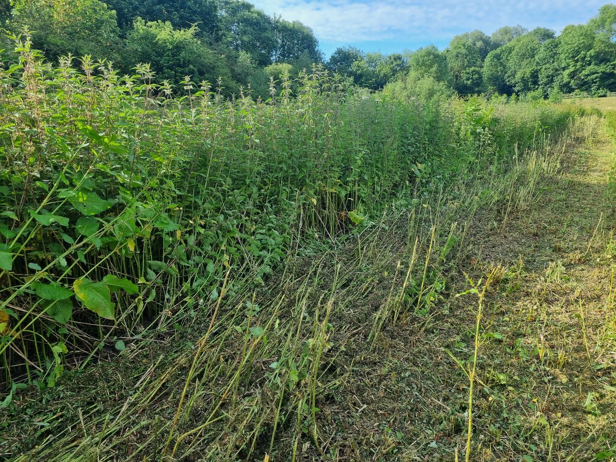 Lorna Griffiths tweet media