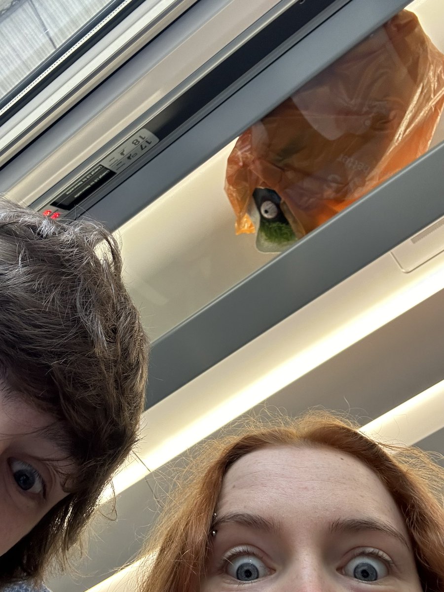 georgia madden tweet media