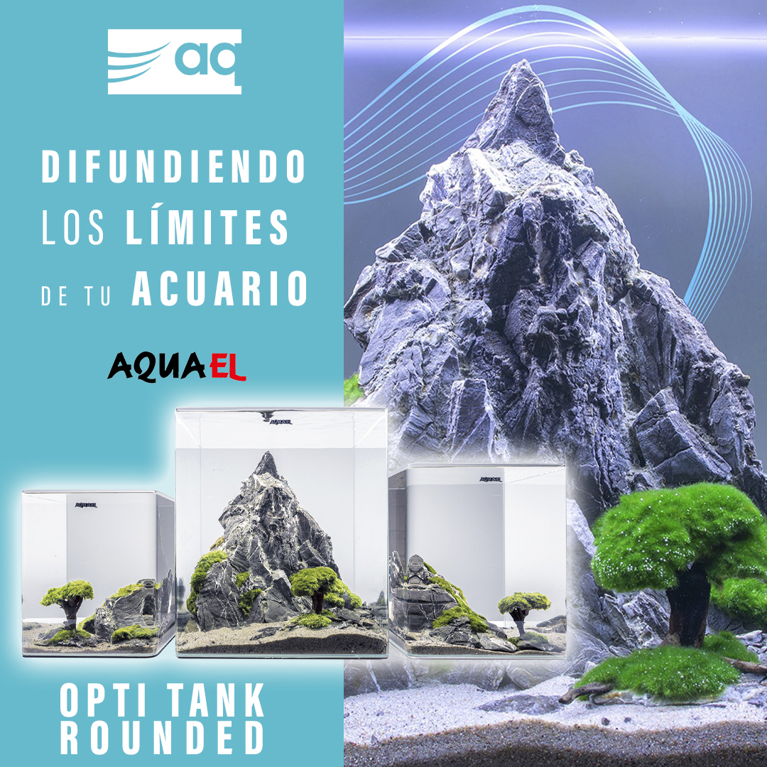 aqmarine's tweet photo. Nuevos Opti Tank Rounded de @AQUAEL 

Difundiendo los límites de tu acuario con el cristal Opti y los bordes redondeados. 

3 Tamaños:
🐠 Opti Tank Rounded 20: 19 litros
🐠 Opti Tank Rounded 30: 29 litros
🐠 Opti Tank Rounded 70: 68 litros
+ info en nuestra web https://t.co/pMAQgiw4kH
