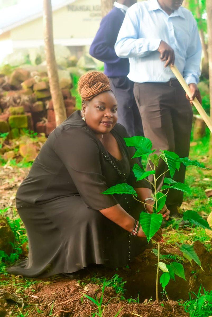 HonMukabane's tweet photo. In Governor @BarasaFernandes OGW Words, "Working with learning institutions will help us to socialize children in environmental consciousness."

It was a pleasure for to Launch the School Greenning Program earlier today at Indangalasia Secondary School. https://t.co/MhyPscwelb