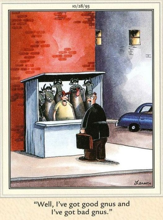 RobForbesDJ's tweet photo. Cyril at the Government kiosk: https://t.co/IbAedQ289b