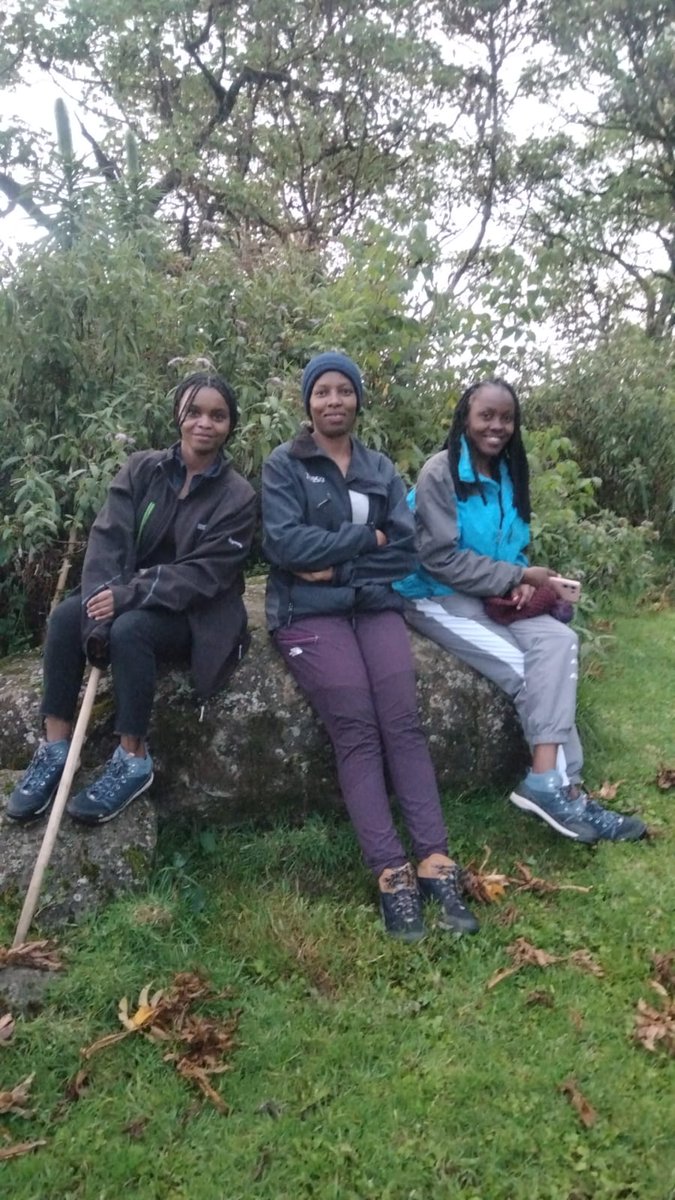 nmriverlodge's tweet photo. At Naro Moru River Lodge, our commitment to excellence reaches new heights—literally!
Last week, our team proudly climbed Mt. Kenya's 3rd highest peak, showcasing the spirit and dedication that define our brand.
#JazaVan #MountainClimbing #MtKenya #AnEscapeToNature https://t.co/raHdMTSkOQ
