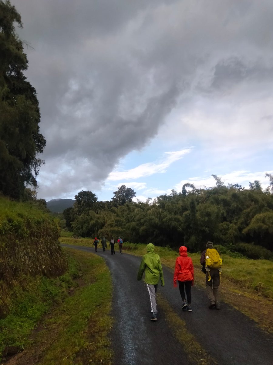 nmriverlodge's tweet photo. At Naro Moru River Lodge, our commitment to excellence reaches new heights—literally!
Last week, our team proudly climbed Mt. Kenya's 3rd highest peak, showcasing the spirit and dedication that define our brand.
#JazaVan #MountainClimbing #MtKenya #AnEscapeToNature https://t.co/raHdMTSkOQ