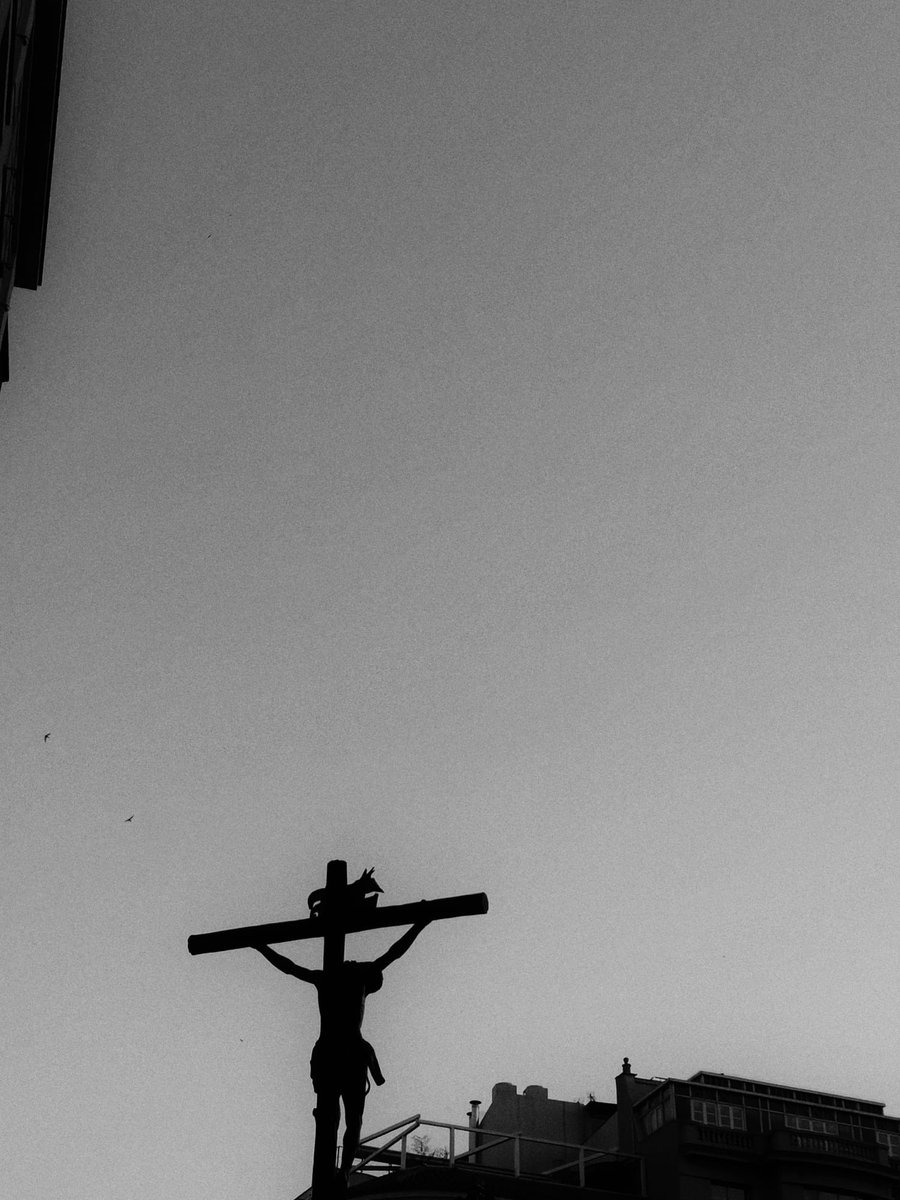 “Mirad el árbol de la cruz donde estuvo clavada la salvación del mundo”

¡Hoy sale el Señor!