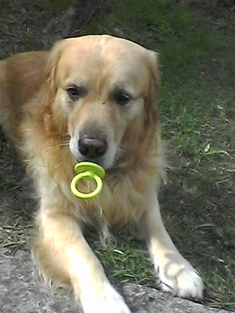 2 years without you,l miss you everyday,but love never dies...💛