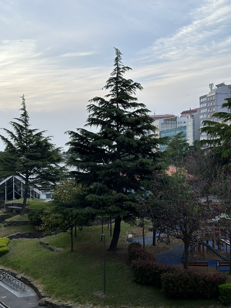 trillizas1's tweet photo. Buenos días 🙏🏼🤍✨💪🏻 #amanecer #coruña @vocescoruna @tiempobrasero https://t.co/VxByce16vF