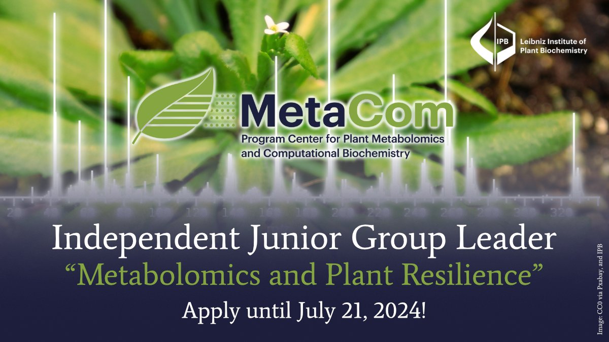 Leibniz Institute of Plant Biochemistry Halle tweet media