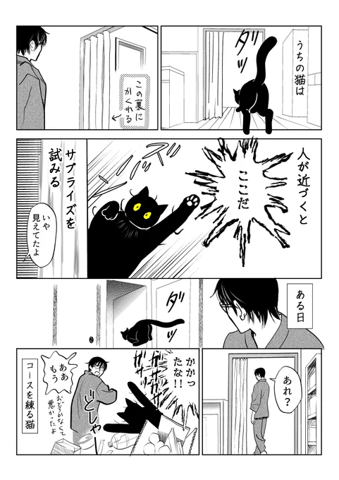 筆坊日記13

#漫画が読めるハッシュタグ #黒猫 #猫のいる暮らし 
