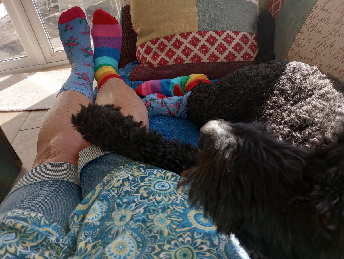 anna_annabav's tweet photo. At home today but fully support #socks4docs as does my work colleague for the day Hector. Started by @gdtoogood @crazysocks4Docs
In full support of raising awareness of the stigma many of us feel when when we need support for our mental health. It's ok to not be ok. https://t.co/Ni9r6CIFjO