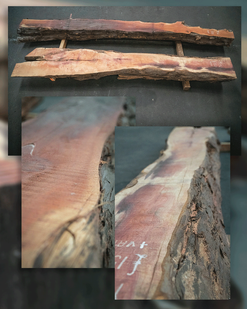 Ready to branch out with a unique timber for your next project?

We'd love to hear what creative projects you can come up with.

Share your ideas with us and, if you’re ready to bring them to life, enjoy a 15% discount!

Use code: YWPRCT