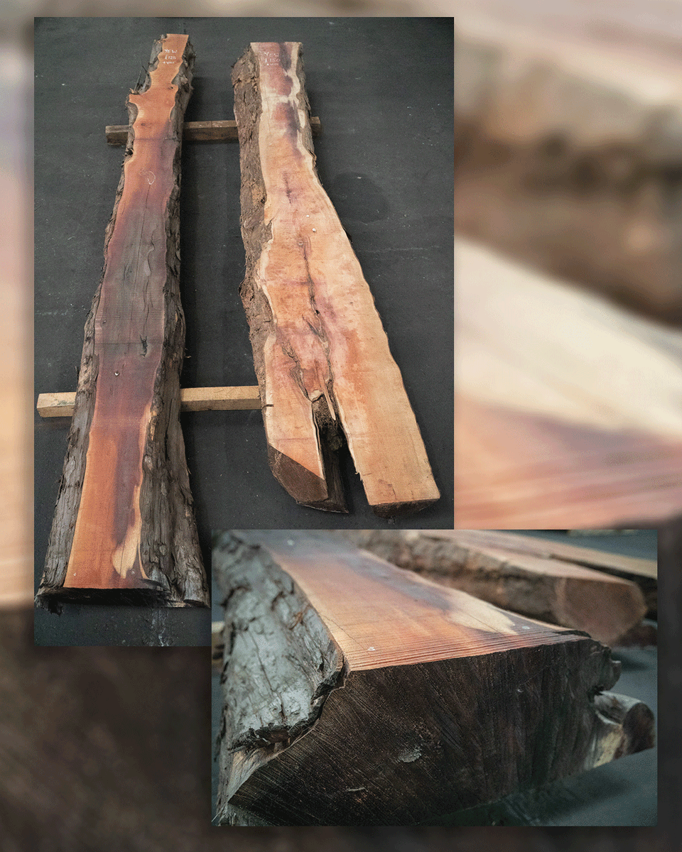 DuffieldTimber tweet picture