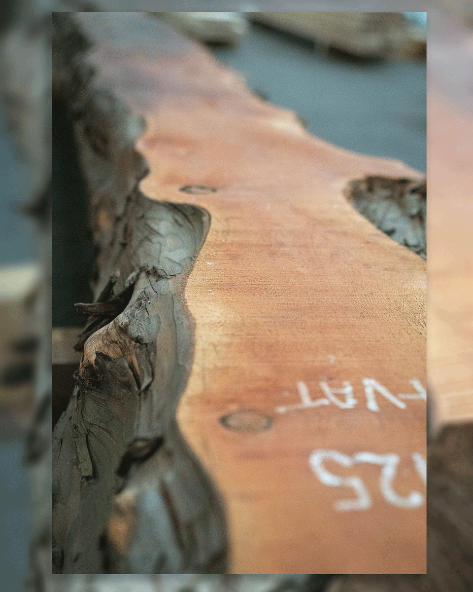 DuffieldTimber tweet picture