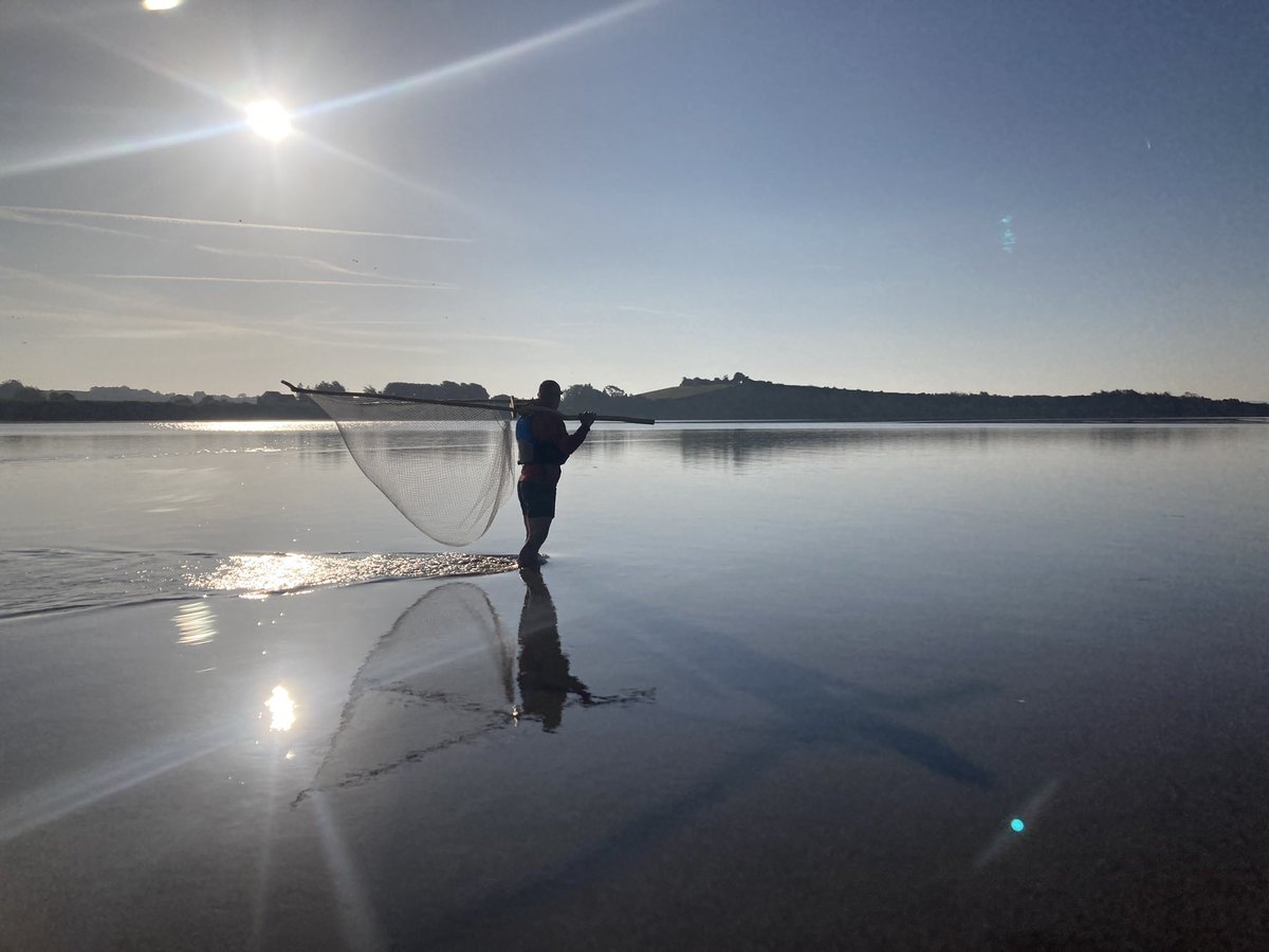 severnpiscator's tweet photo. Fridays don’t start much better than this, lave netting in the Severn with @MattyH02 this morning and an unexpected visitor! 

I’ve seen them cross before now but never when I’ve been fishing.

Glorious Gloucestershire. https://t.co/MZqP4gfKnf
