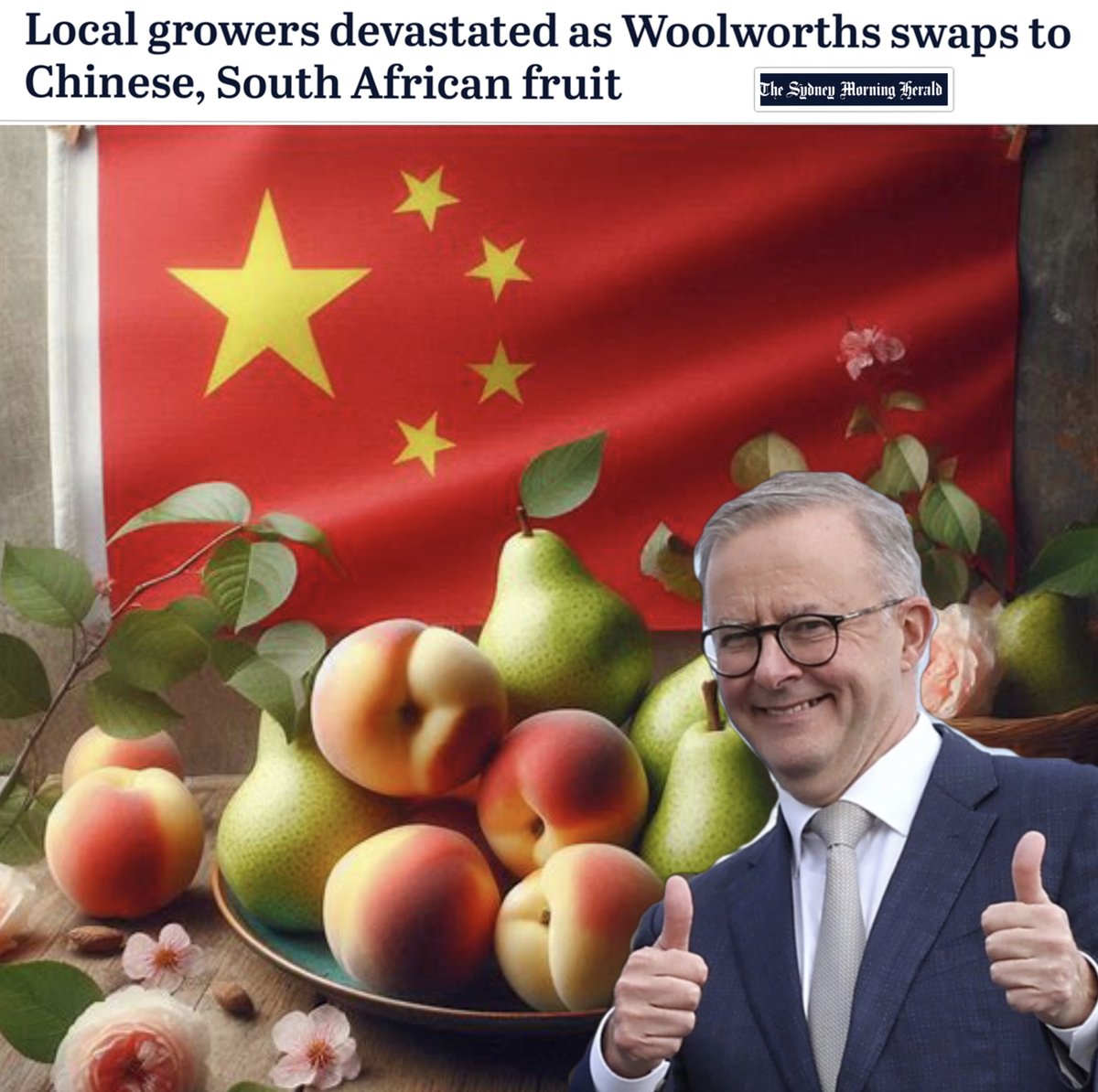 craigkellyAFEE's tweet photo. FUTURE MADE IN CHINA 

The Labor/Liberal UniParty is burdening Australian industry with the destructive unsanity of Net zero, while Chinese industry doesn’t face such additional costs.

The result places Australian industry at a competitive disadvantaged, creating a wealth transfer out of Australia to China. 

https://t.co/edVc3fXngE

Australian canned fruit growers have been left devastated after the country’s largest processor slashed its orders for the upcoming season, blaming budget-conscious consumers.

Growers were told in a meeting at SPC’s Shepparton office last month that orders of peaches would be reduced by 40 per cent, and pears would be reduced by 60 per cent.

Max Wright, a grower from Invergordon, near Shepparton, who has previously done promotional work for SPC, said last month’s meeting was disheartening.

“Our Australian fruit is quality assured for safety every year – we do all of this stuff to keep it good,” he said.

“And it seems desperately unfair that we then can’t compete with what is coming in from overseas.”