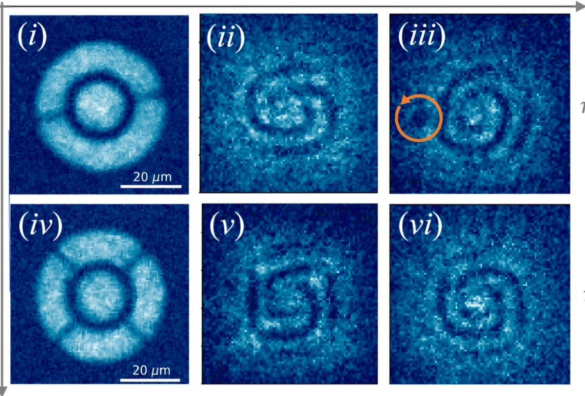 Charles W. Clark (@g8ge) on Twitter photo Stabilizing persistent currents in an atomtronic Josephson junction necklace of lithium-6 diatomic molecules <a href="/BlackPhysicists/">BlackPhysicists</a> <a href="/OpticaWorldwide/">Optica</a> <a href="/NIST/">National Institute of Standards and Technology</a> <a href="/JILAscience/">JILA</a> @CCBPP <a href="/infleqtion/">Infleqtion</a>
nature.com/articles/s4146… Stabilizing persistent currents in an atomtronic Josephson junction necklace of lithium-6 diatomic molecules <a href="/BlackPhysicists/">BlackPhysicists</a> <a href="/OpticaWorldwide/">Optica</a> <a href="/NIST/">National Institute of Standards and Technology</a> <a href="/JILAscience/">JILA</a> @CCBPP <a href="/infleqtion/">Infleqtion</a>
nature.com/articles/s4146…