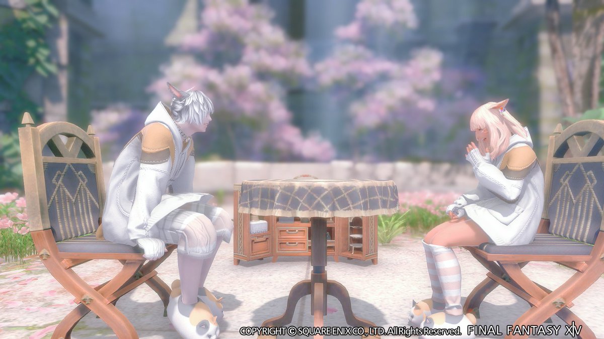 Vivi__Rui's tweet photo. シラディハ水道を周回！ラスト出るところ可愛いSSスポットでした❀
#FF14SS
#ミコッテ https://t.co/s50DfhBrSi