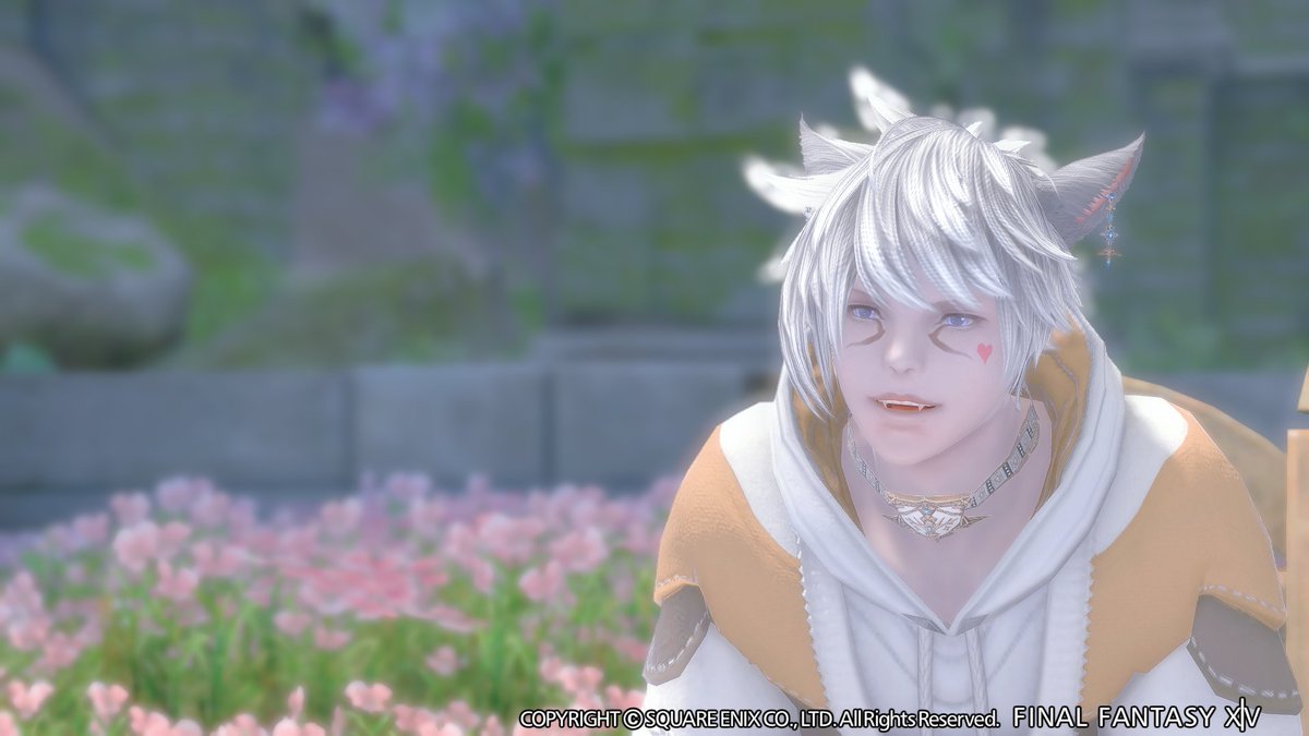 Vivi__Rui's tweet photo. シラディハ水道を周回！ラスト出るところ可愛いSSスポットでした❀
#FF14SS
#ミコッテ https://t.co/s50DfhBrSi