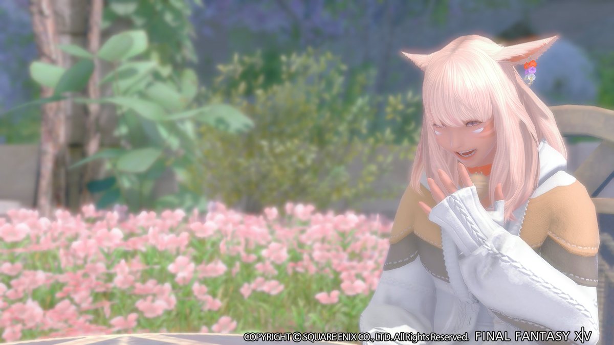 Vivi__Rui's tweet photo. シラディハ水道を周回！ラスト出るところ可愛いSSスポットでした❀
#FF14SS
#ミコッテ https://t.co/s50DfhBrSi