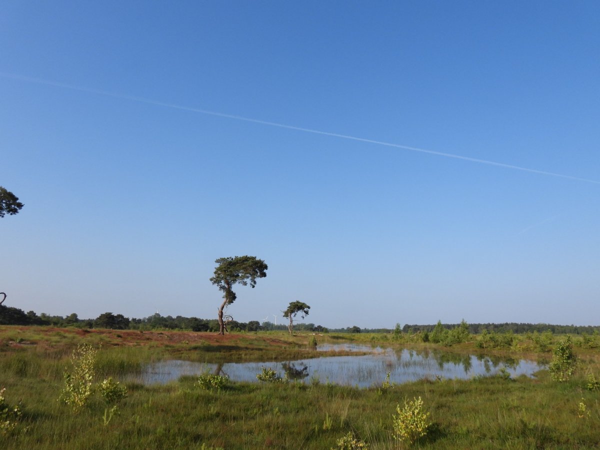 VanoppenMario's tweet photo. #vrtweer #pelt 7.00 uur https://t.co/ETdUy4Va2I