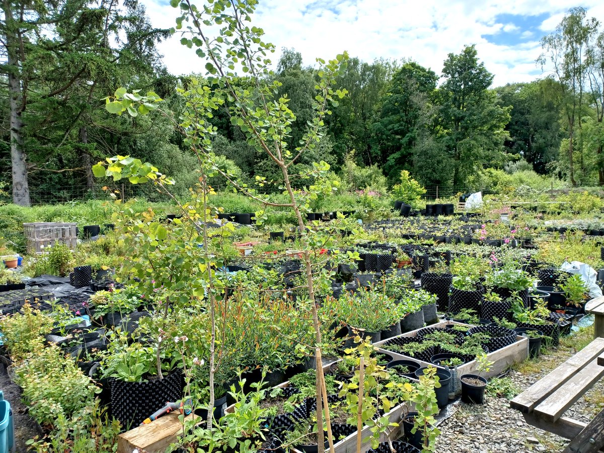 Eadha Enterprises tweet media