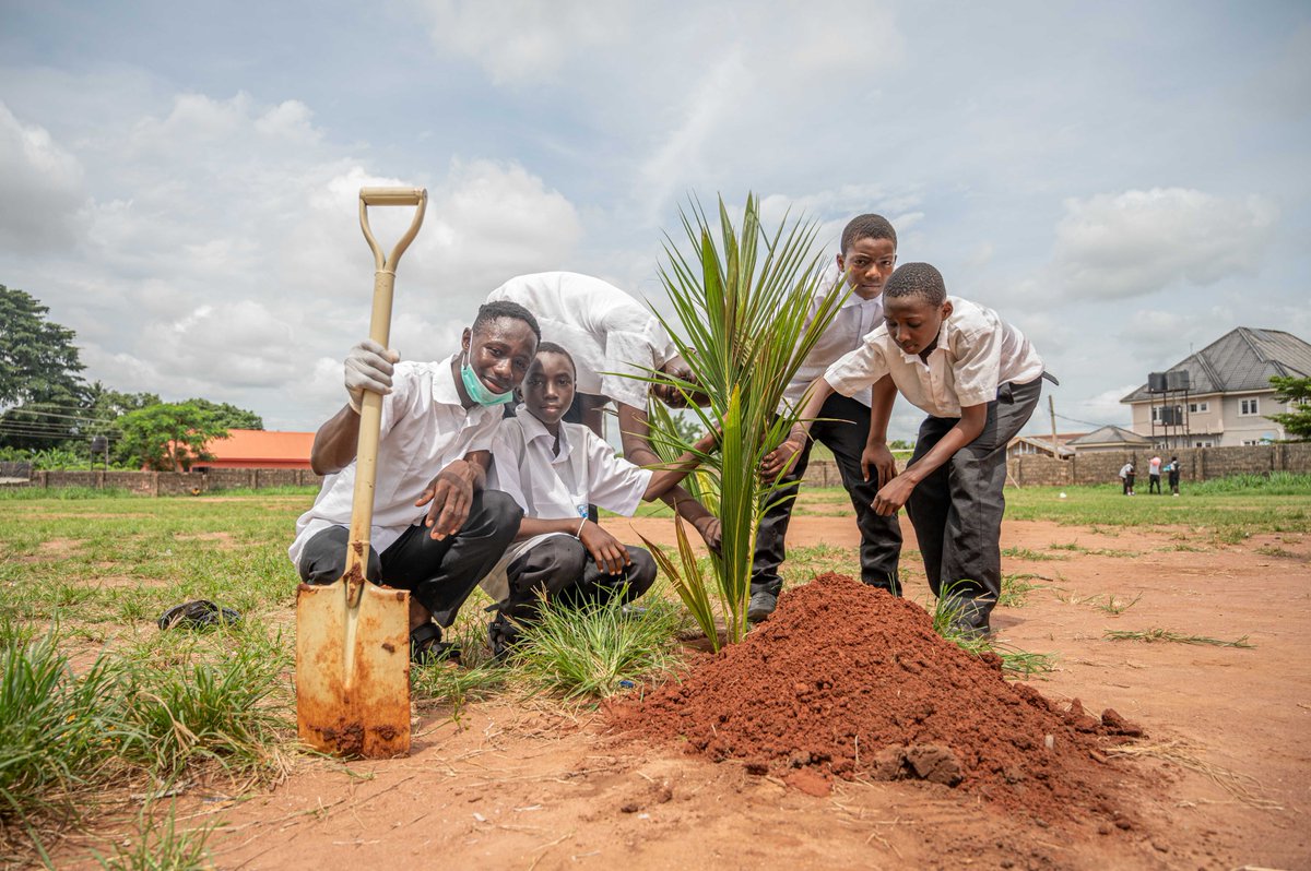 nnpclimited's tweet photo. At NNPC Exploration and Production Limited (NEPL), sustainability is central to our operations.

We are excited to celebrate #WorldEnvironmentDay with a tree-planting initiative in collaboration with the OML98 host community in Benin, Edo State.

Together, we are paving the way for a vibrant future for everyone.

#CommunityEngagement 
#EnergyForToday 
#EnergyForTomorrow