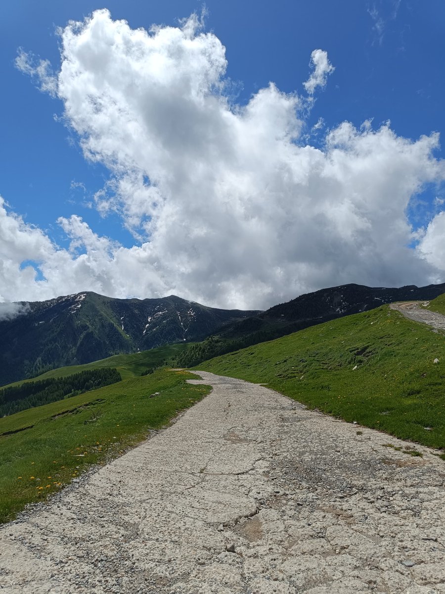 ParcoAlpiLiguri's tweet photo. In cammino verso la cima più alta della Liguria 🥾😍.

Venite a scoprire i meravigliosi percorsi e sentieri del Parco Naturale delle Alpi Liguri !

[Foto: Monte Saccarello - Monesi]

#alpiliguri #parcoalpiliguri #saccarello #monesi #trekking https://t.co/gtu6WQVjPx