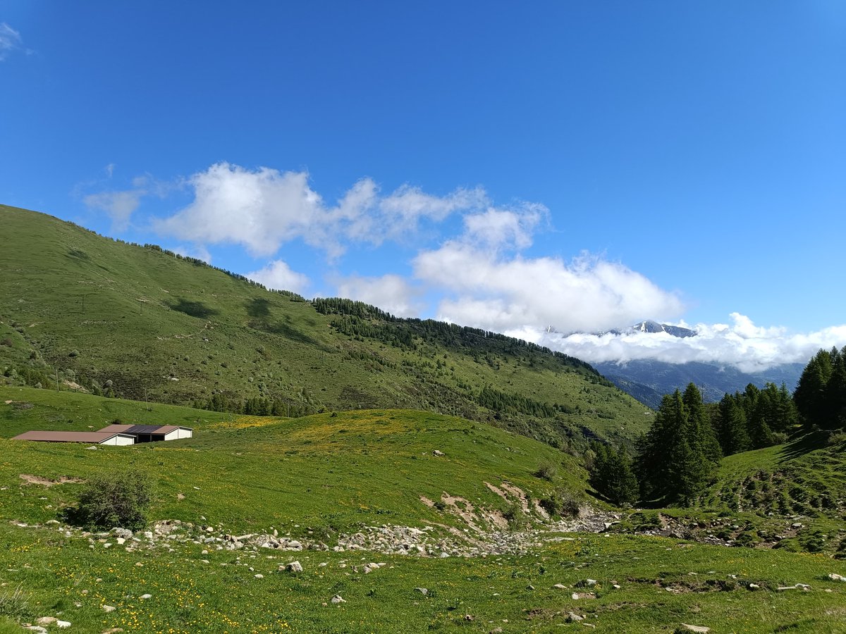 ParcoAlpiLiguri's tweet photo. In cammino verso la cima più alta della Liguria 🥾😍.

Venite a scoprire i meravigliosi percorsi e sentieri del Parco Naturale delle Alpi Liguri !

[Foto: Monte Saccarello - Monesi]

#alpiliguri #parcoalpiliguri #saccarello #monesi #trekking https://t.co/gtu6WQVjPx