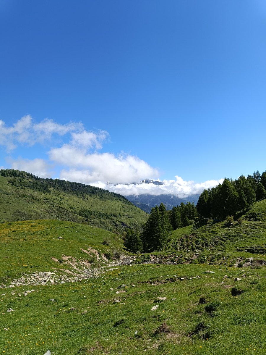 ParcoAlpiLiguri's tweet photo. In cammino verso la cima più alta della Liguria 🥾😍.

Venite a scoprire i meravigliosi percorsi e sentieri del Parco Naturale delle Alpi Liguri !

[Foto: Monte Saccarello - Monesi]

#alpiliguri #parcoalpiliguri #saccarello #monesi #trekking https://t.co/gtu6WQVjPx