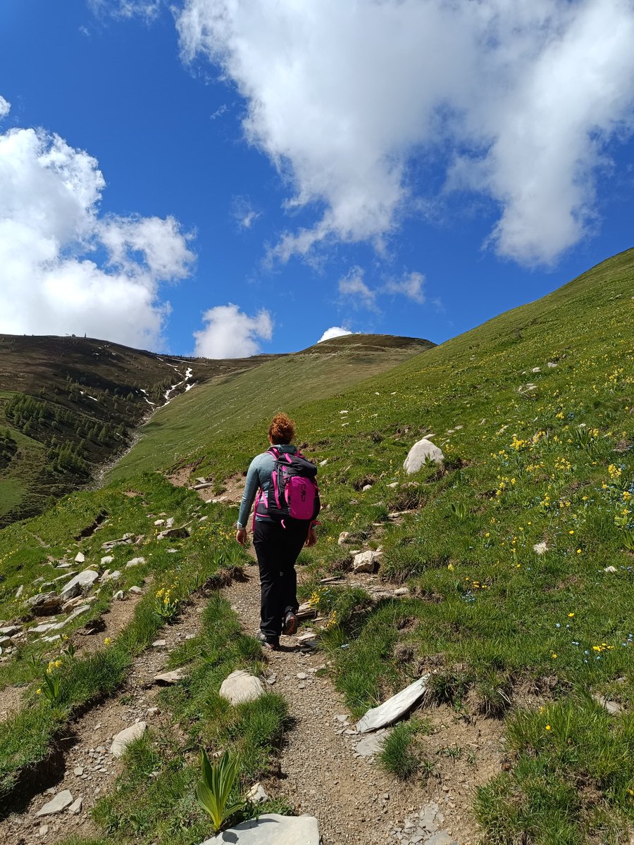 ParcoAlpiLiguri's tweet photo. In cammino verso la cima più alta della Liguria 🥾😍.

Venite a scoprire i meravigliosi percorsi e sentieri del Parco Naturale delle Alpi Liguri !

[Foto: Monte Saccarello - Monesi]

#alpiliguri #parcoalpiliguri #saccarello #monesi #trekking https://t.co/gtu6WQVjPx