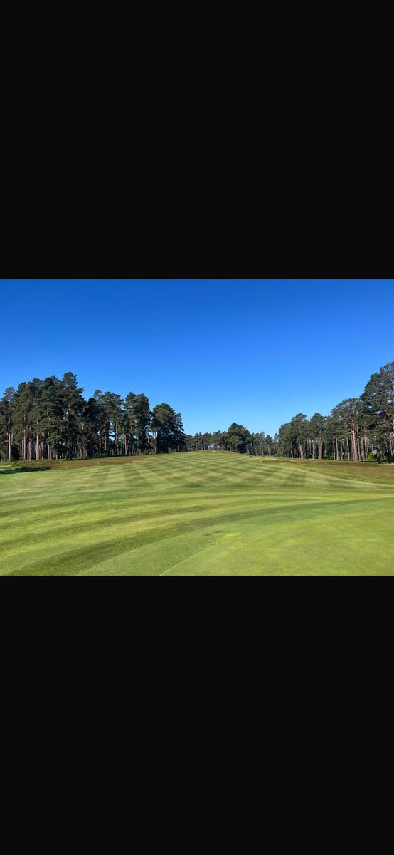 Tony Stephen tweet media